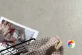 Коллекция Portland Geotiles