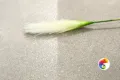 Коллекция Fiji Realistik