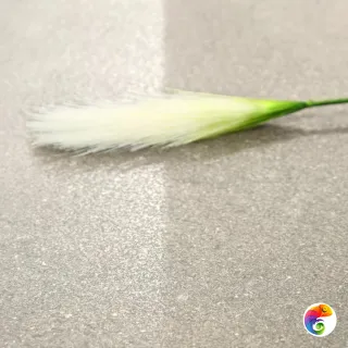 Fiji Realistik