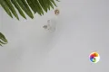 Коллекция Pierre Realistik