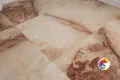 Коллекция Ajmer Gold Realistik