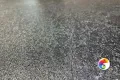 Коллекция Alexandria Realistik