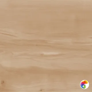 Paint Realistik