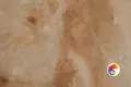 Коллекция Ajmer Gold Realistik