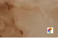 Коллекция Ajmer Gold Realistik