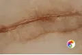 Коллекция Ajmer Gold Realistik
