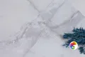 Коллекция Vita Realistik