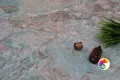 Коллекция Vola Realistik