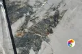Коллекция Valetta Realistik