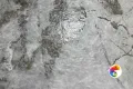 Коллекция Cordelia Realistik