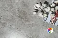 Коллекция Rock Dorlin Realistik