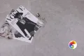 Коллекция Rock Realistik