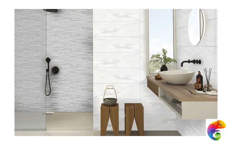 Коллекция Cintia Emigres