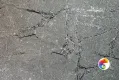 Коллекция Pure Realistik