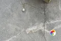 Коллекция Mia Realistik
