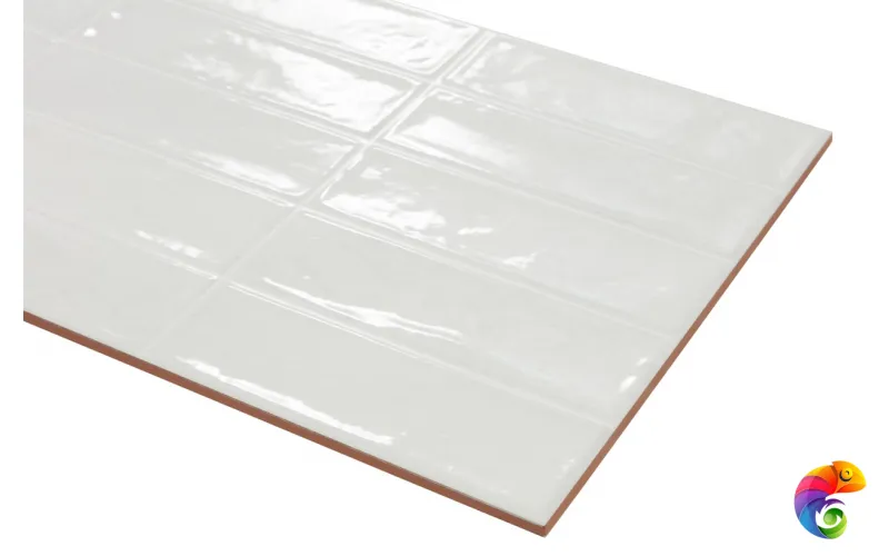 Плитка Eco Ceramic Pool White 31,6x60