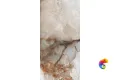 Керамогранит Realistik Ajmer Gold Polished 60x120
