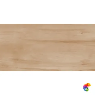 Realistik Paint Wood Bone Matt 60x120 (1,44)
