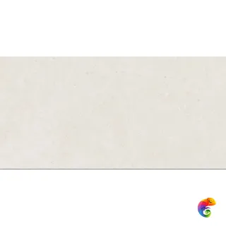 Realistik Mistic Light Grey Gloss 60x120 (1,44)