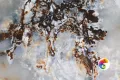 Керамогранит Realistik Magic Ice High Glossy 60x60
