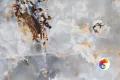 Керамогранит Realistik Magic Ice High Glossy 60x60