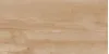 Realistik Paint Wood Bone Gloss 60x120 (1,44)