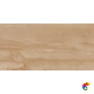 Realistik Paint Wood Bone Gloss 60x120 (1,44)