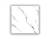 Realistik Molly white 60x60
