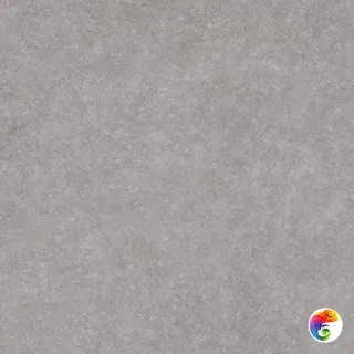 Argenta Light Stone Grey 60x60