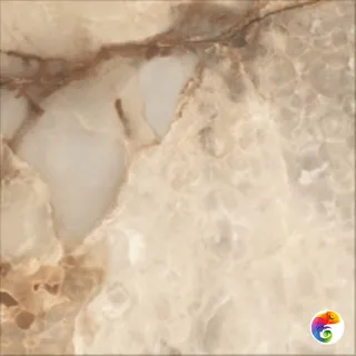 Realistik Ajmer Gold Polished 60x60