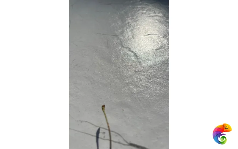 Керамогранит Cerrad Marmo Thassos White Rect 59,7х119,7