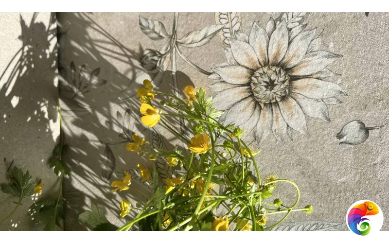 Плитка Argenta XS Kenzo Spring Sand 60x120