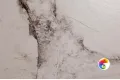 Керамогранит Realistik Cleo White Stonelo Carving 60x120