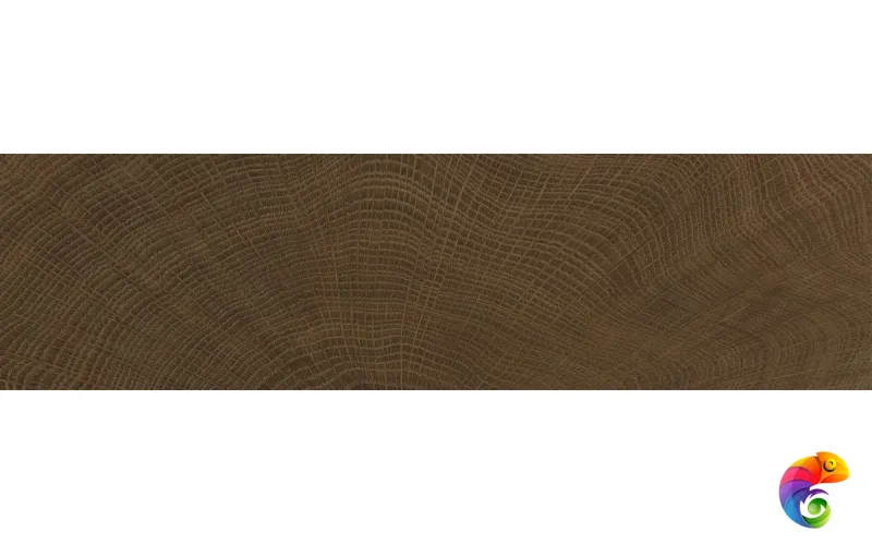 Provenza Керамогранит W-Circles Wenge' 10x120 матовый