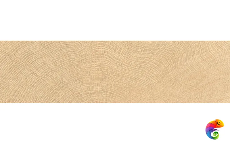 Provenza Керамогранит W-Circles Walnut 10x120 матовый