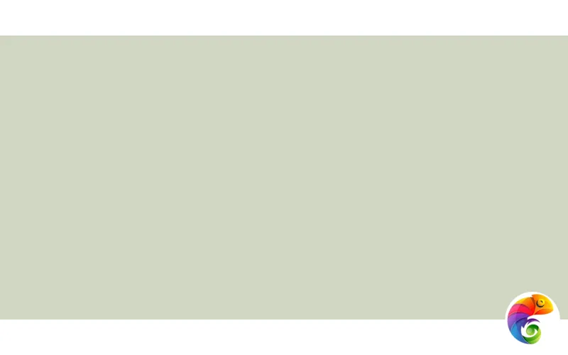 Керамогранит Sodai Colour Board Sage 50x100 Матовый 3,5 мм