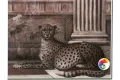 Керамическая плитка Petrachers Grand Elegance Noblesse A 15x20