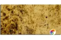 Стеклянная плитка Sicis Vetrite Boheme Brown 120x280