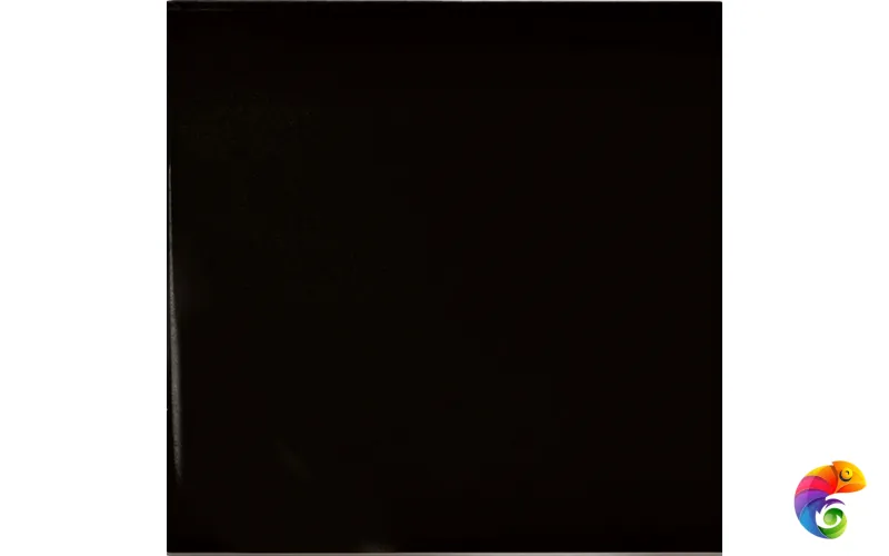 Керамическая плитка Ceramica Bardelli Bianco&Nero Nero Extra 20х20