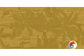Керамогранит Sodai Journey Curry 50x100 Матовый 3,5 мм