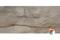 Керамогранит Apavisa Wild Forest Grey Pol BL-C 119,3x260
