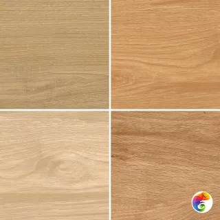 Forest STAROWOOD