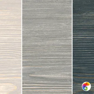 Polo STAROWOOD