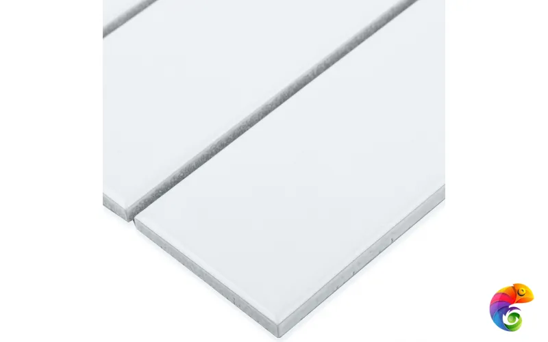 Кер. мозаика 47x147 White Matt (V-VW56000) 300х300x6