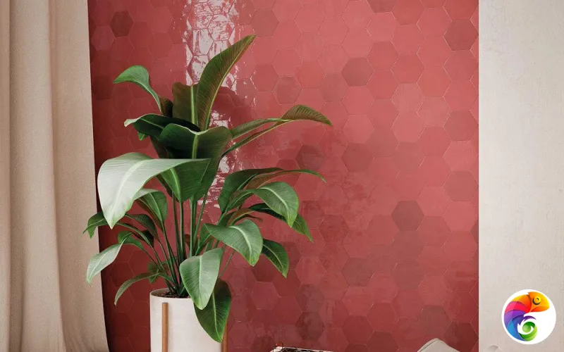 Коллекция ZELLIGE HEXA WOW