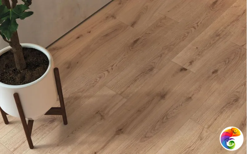 Коллекция EXENCE Atlas Concorde