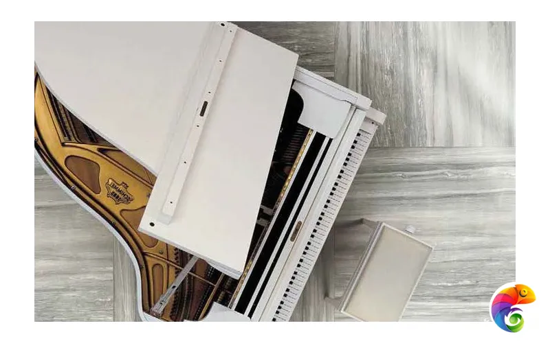 Коллекция PREXIOUS OF REX Rex