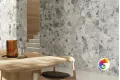 Коллекция CONTINUUM Italon