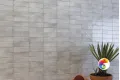 Коллекция DYROY Harmony Rus