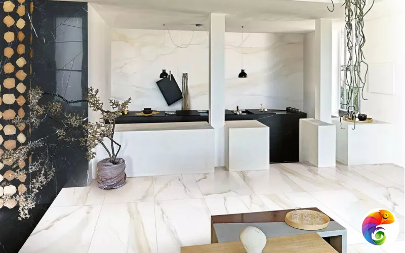 Коллекция I CLASSICI DI REX Rex